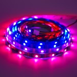 HD108-5050RGB-30D-DC5V-黑板-板宽10mm-IP20主图05