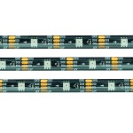 ZC2815W-5050RGB-30灯每米-黑板板宽10mm-DC12V-IP65-主图1